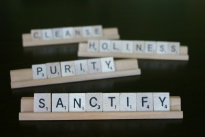 sanctiffy